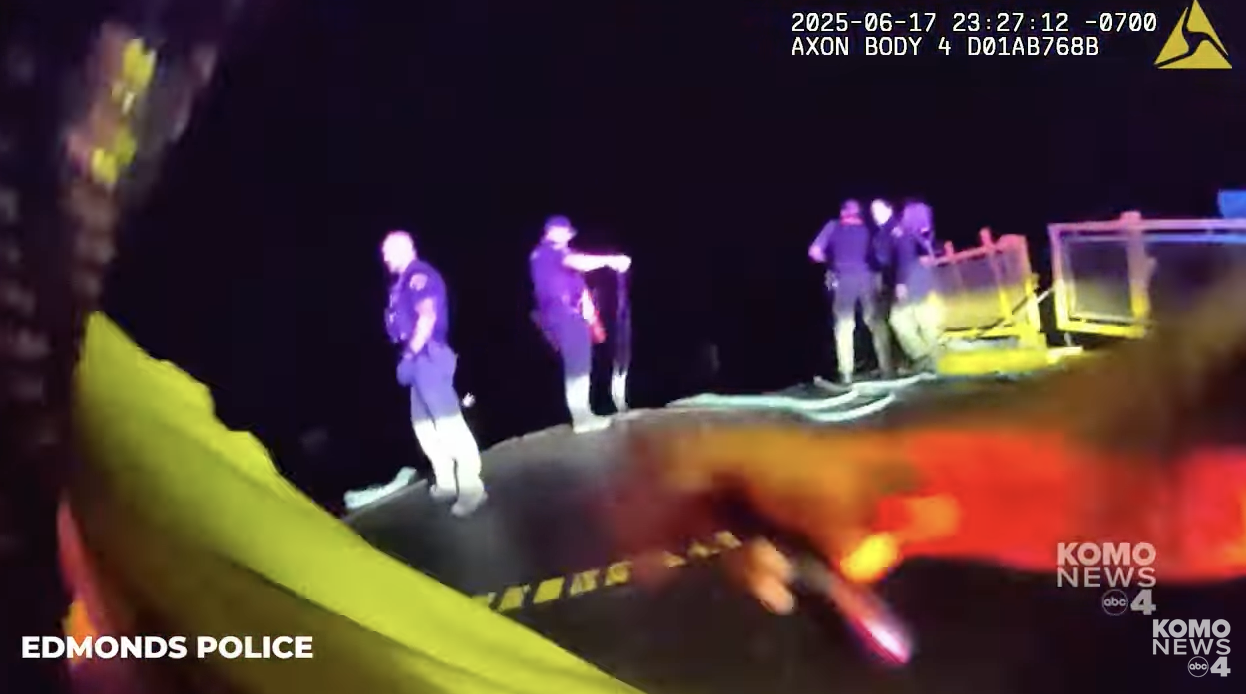 cops rescuing people in the water after high speed chase